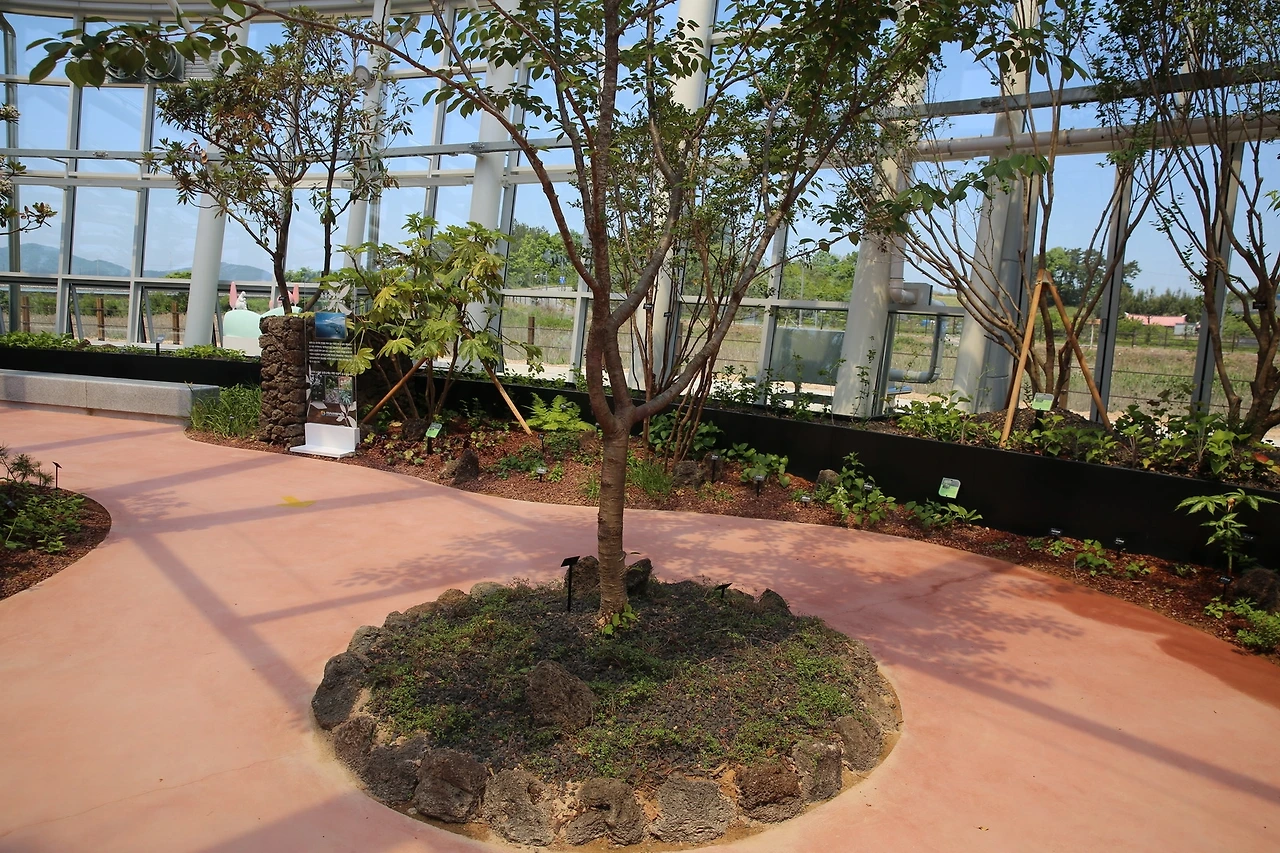 MG0A1917_новый размер.JPG