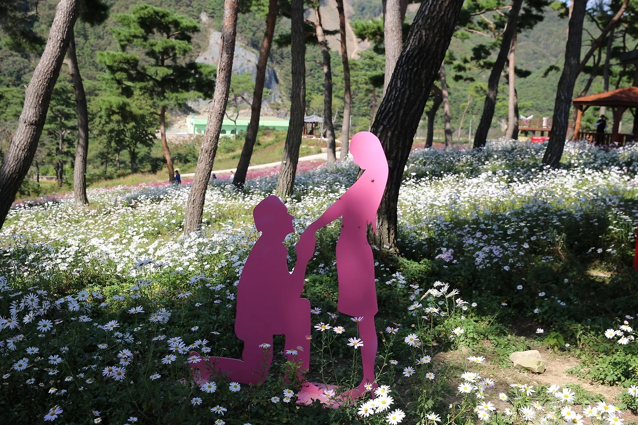 MG0A6224_новый размер.JPG