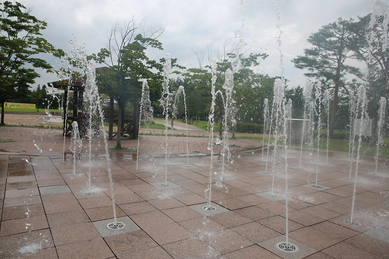 MG0A4726_новый размер.JPG