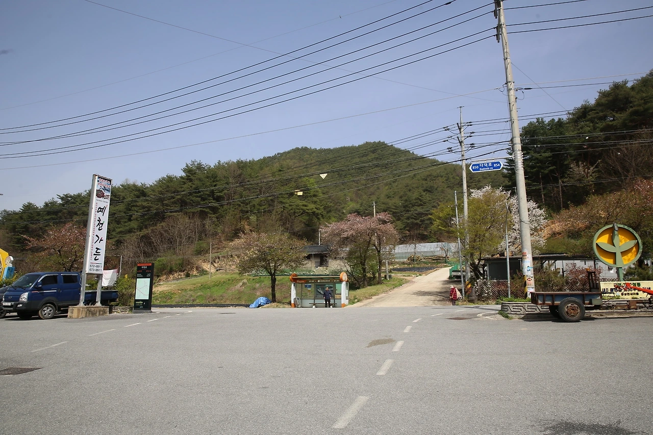 MG0A0117_новый размер.JPG