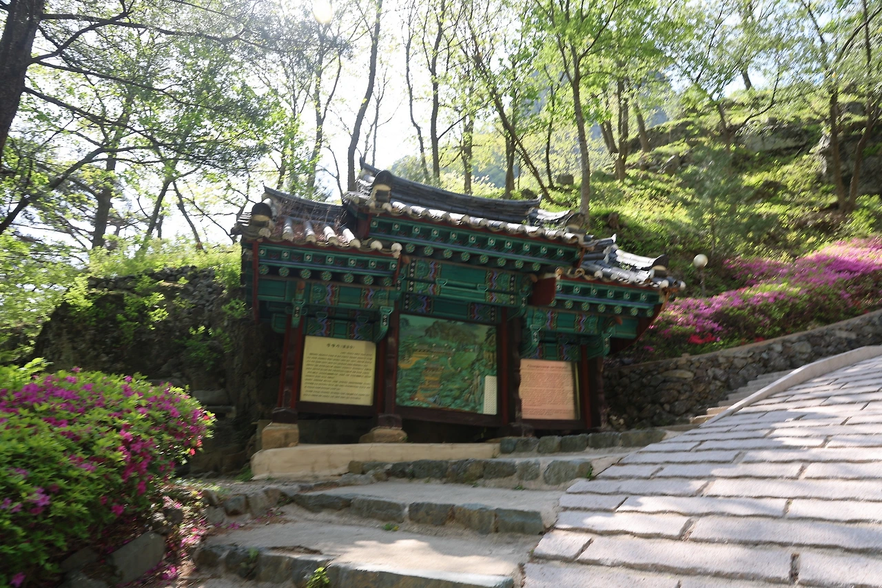 0R5A9610_новый размер.JPG