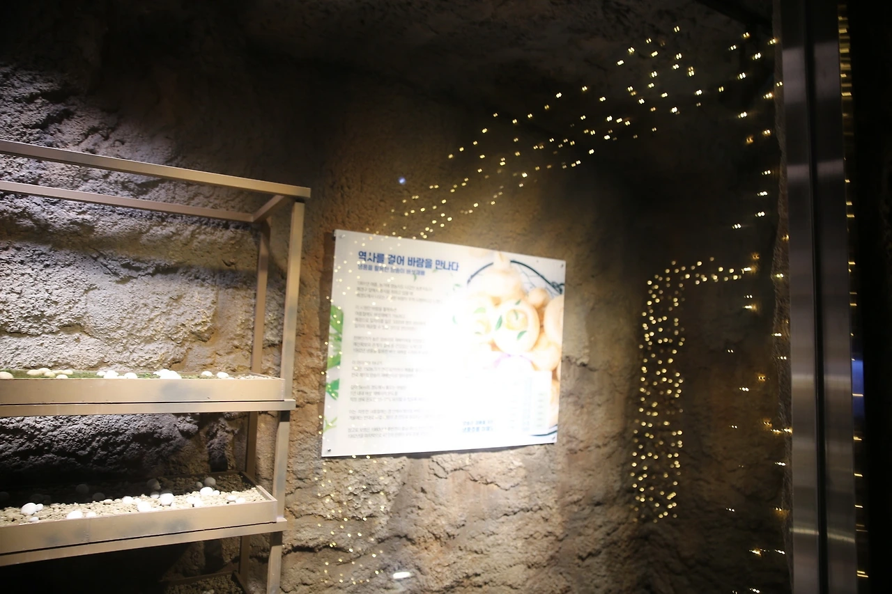 MG0A4838_новый размер.JPG