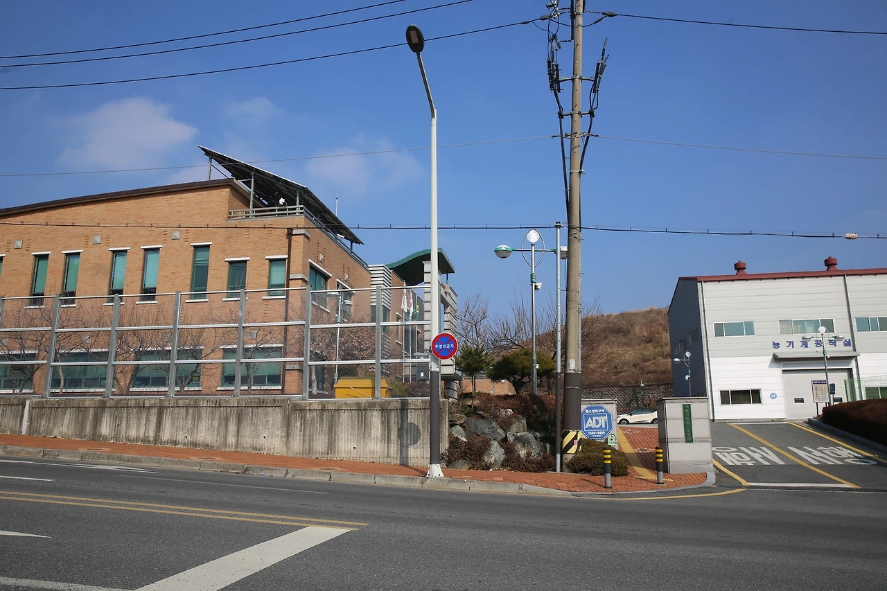 MG0A9421_новый размер.JPG