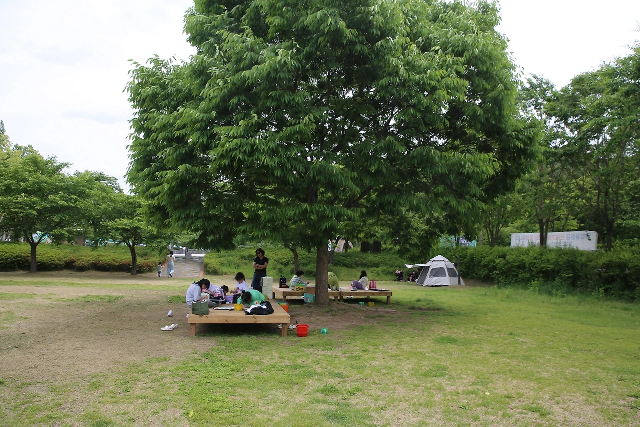 MG0A3273_новый размер.JPG