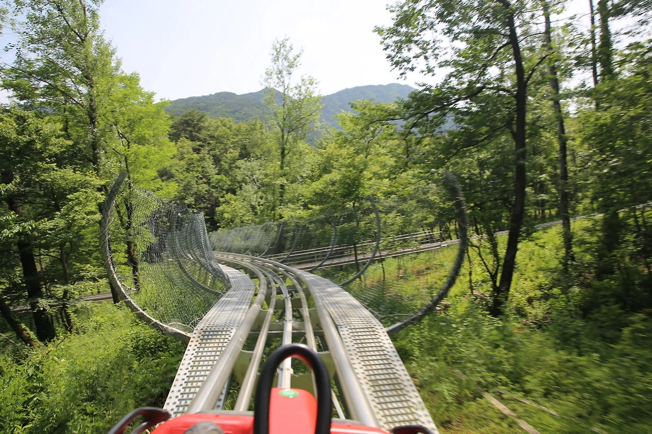 MG0A0947_новый размер.JPG