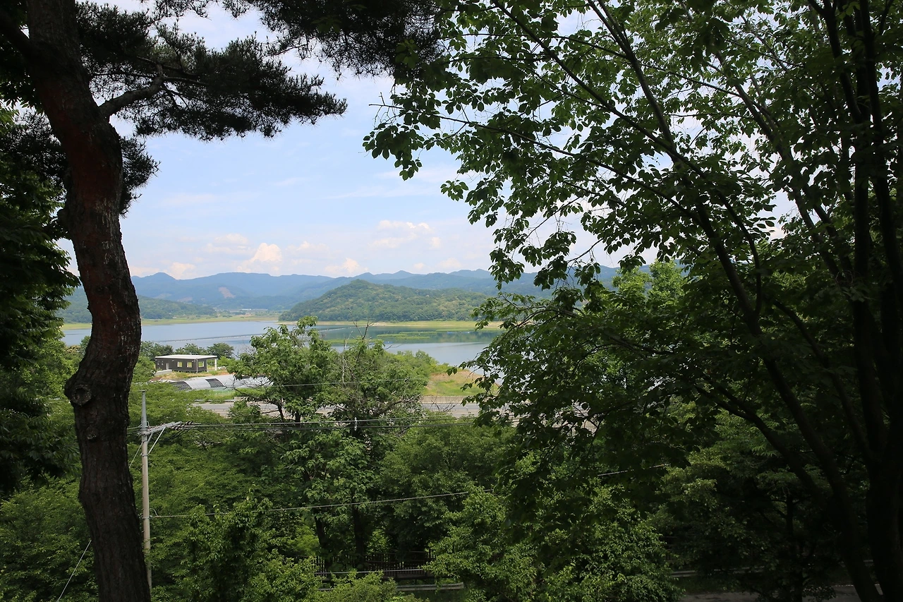 MG0A2146_новый размер.JPG