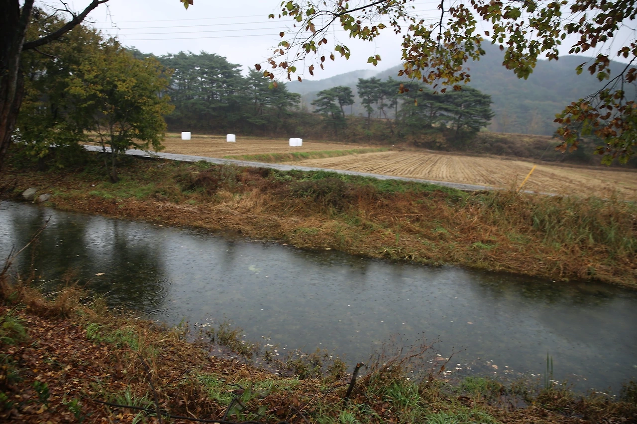 MG0A0850_новый размер.JPG