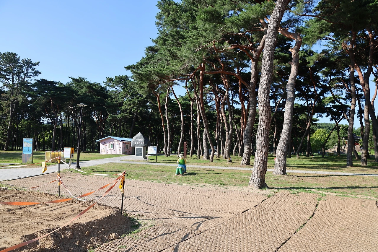 0R5A8090_новый размер.JPG