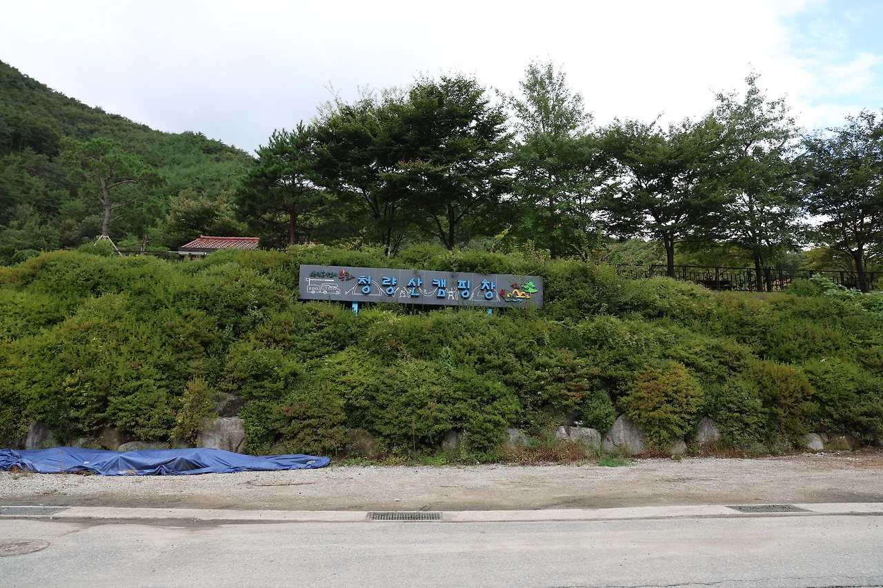 0R5A9768_новый размер.JPG