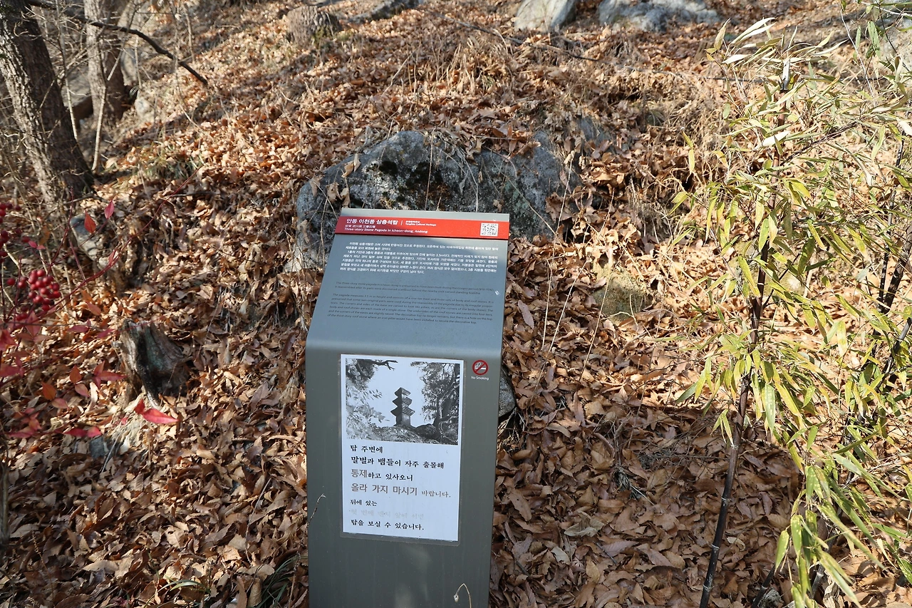 0R5A9216_новый размер.JPG