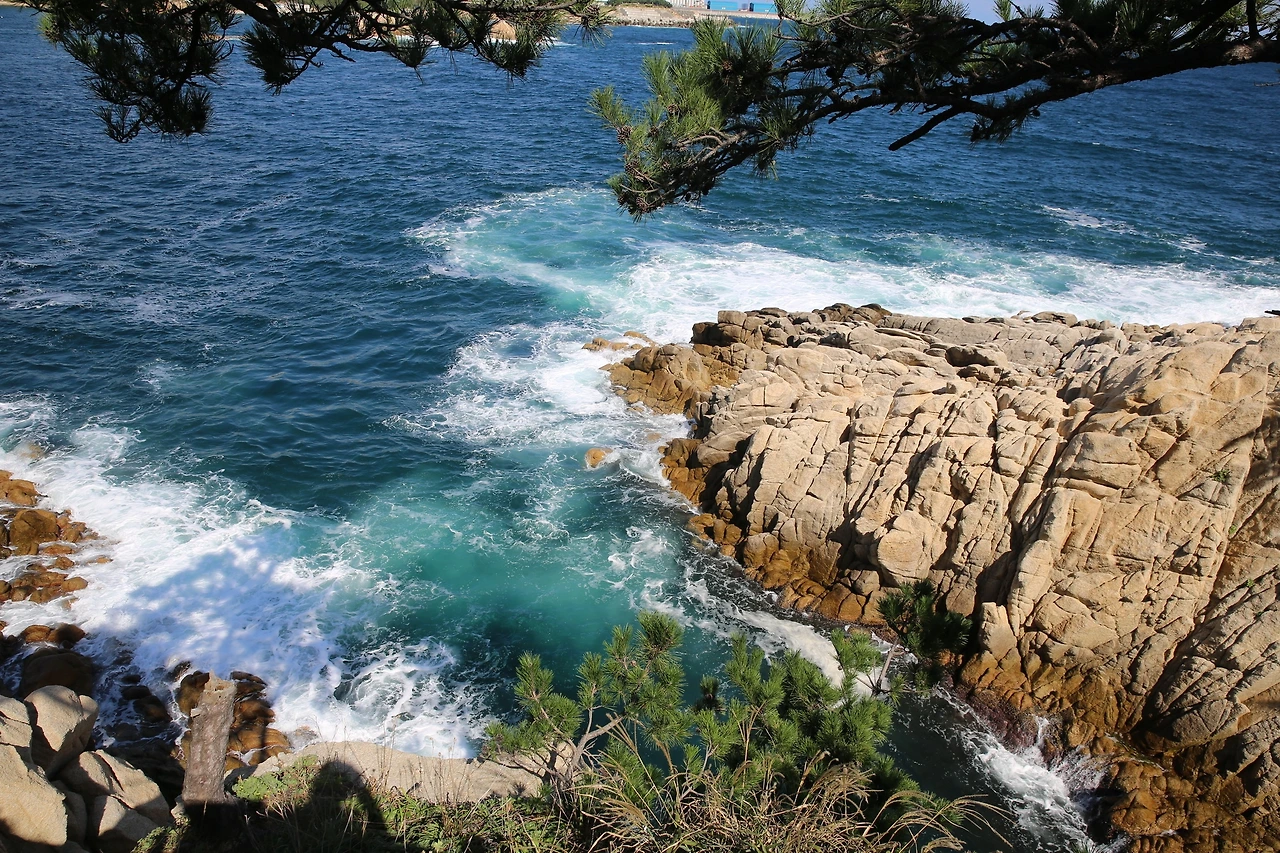 MG0A3892_новый размер.JPG