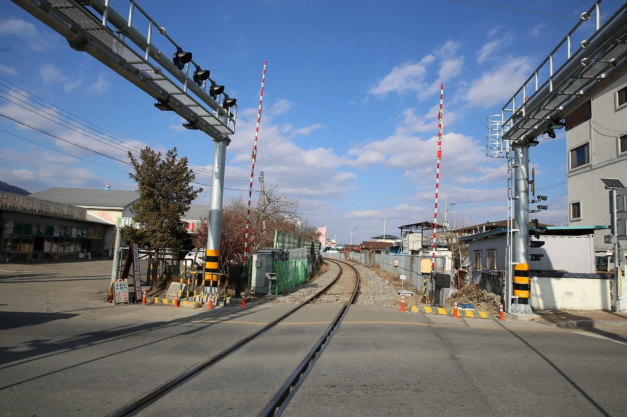 MG0A4539_новый размер.JPG