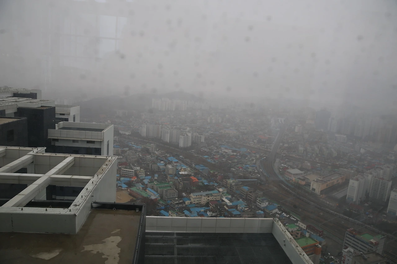 MG0A0002_новый размер.JPG