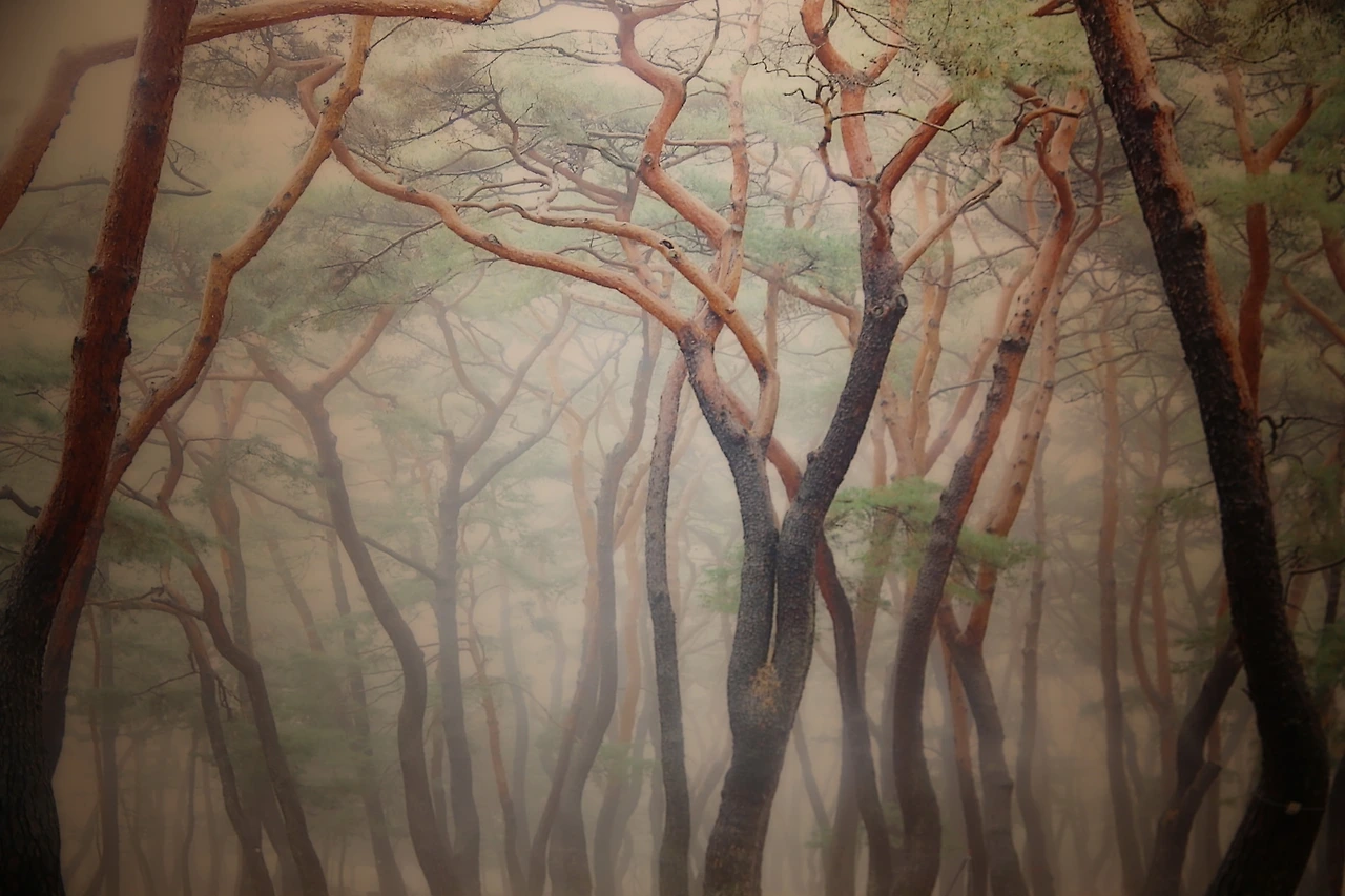 MG0A5980_новый размер.JPG