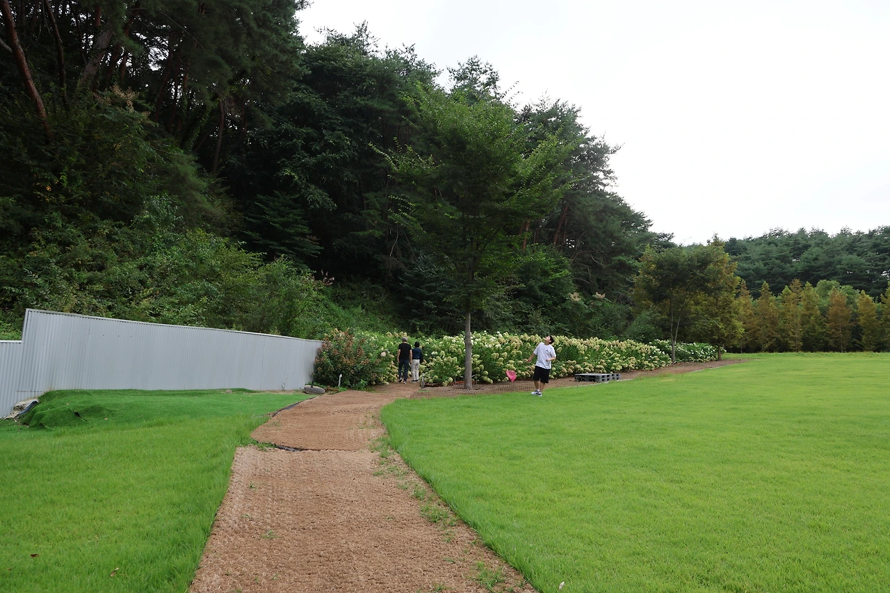 0R5A6183_новый размер.JPG