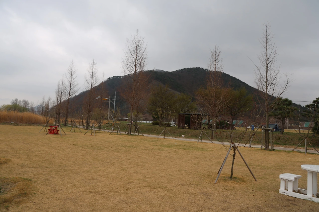 0R5A4428_новый размер.JPG