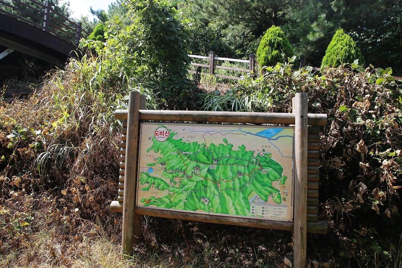 MG0A9246_новый размер.JPG