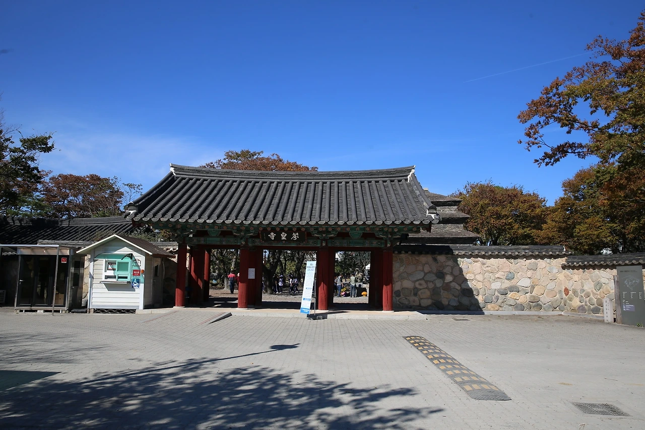 MG0A6767_новый размер.JPG