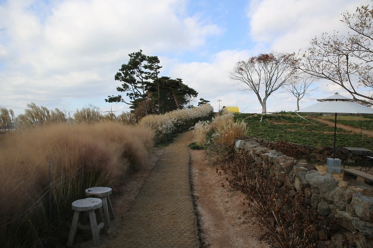 MG0A3188_новый размер.JPG