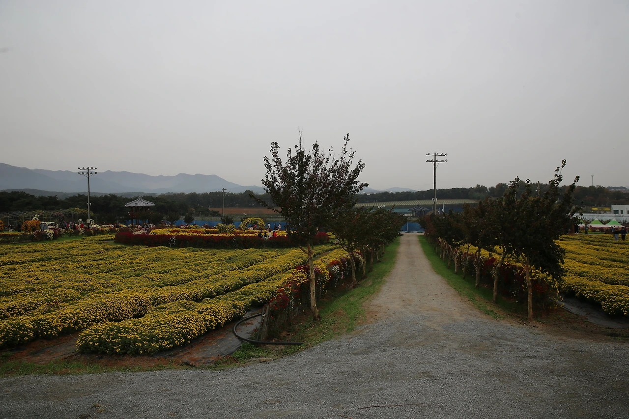 MG0A9612_новый размер.JPG