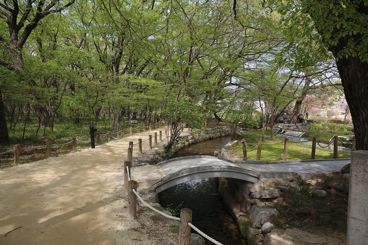 MG0A9179_новый размер.JPG