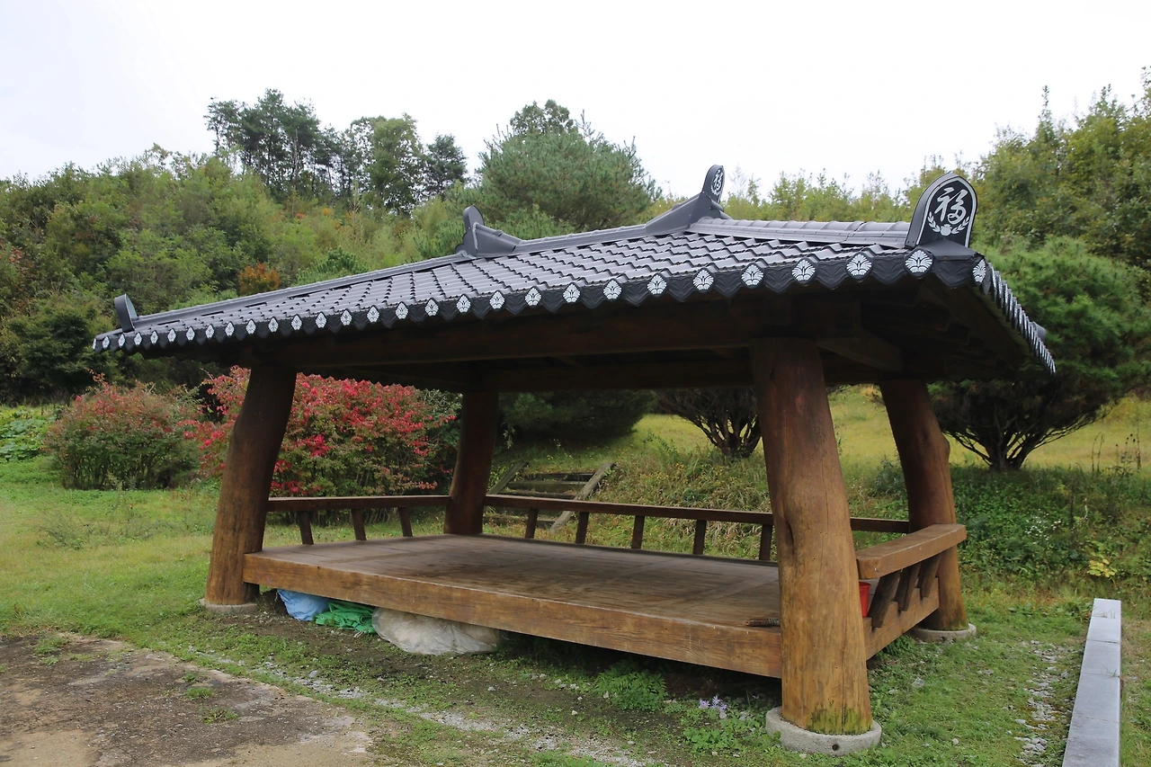 MG0A6388_новый размер.JPG