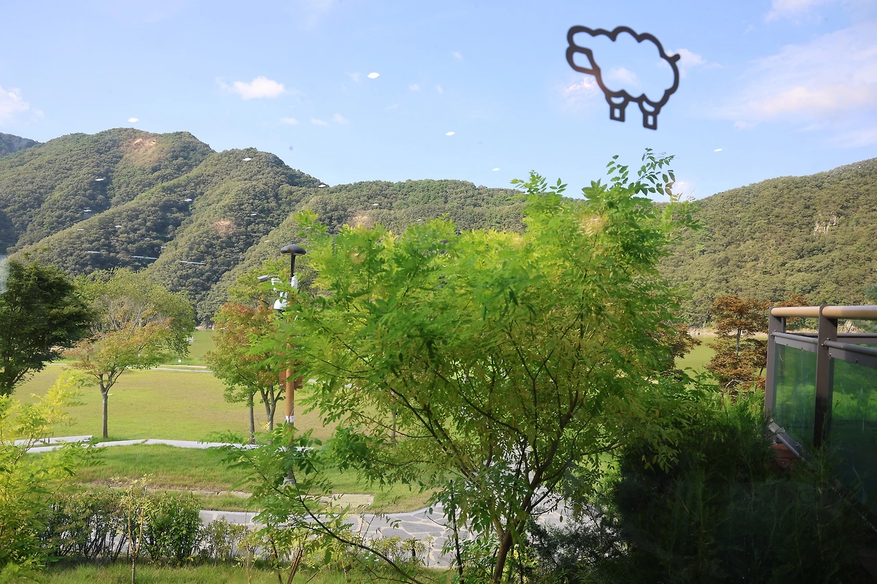 0R5A3848_новый размер.JPG