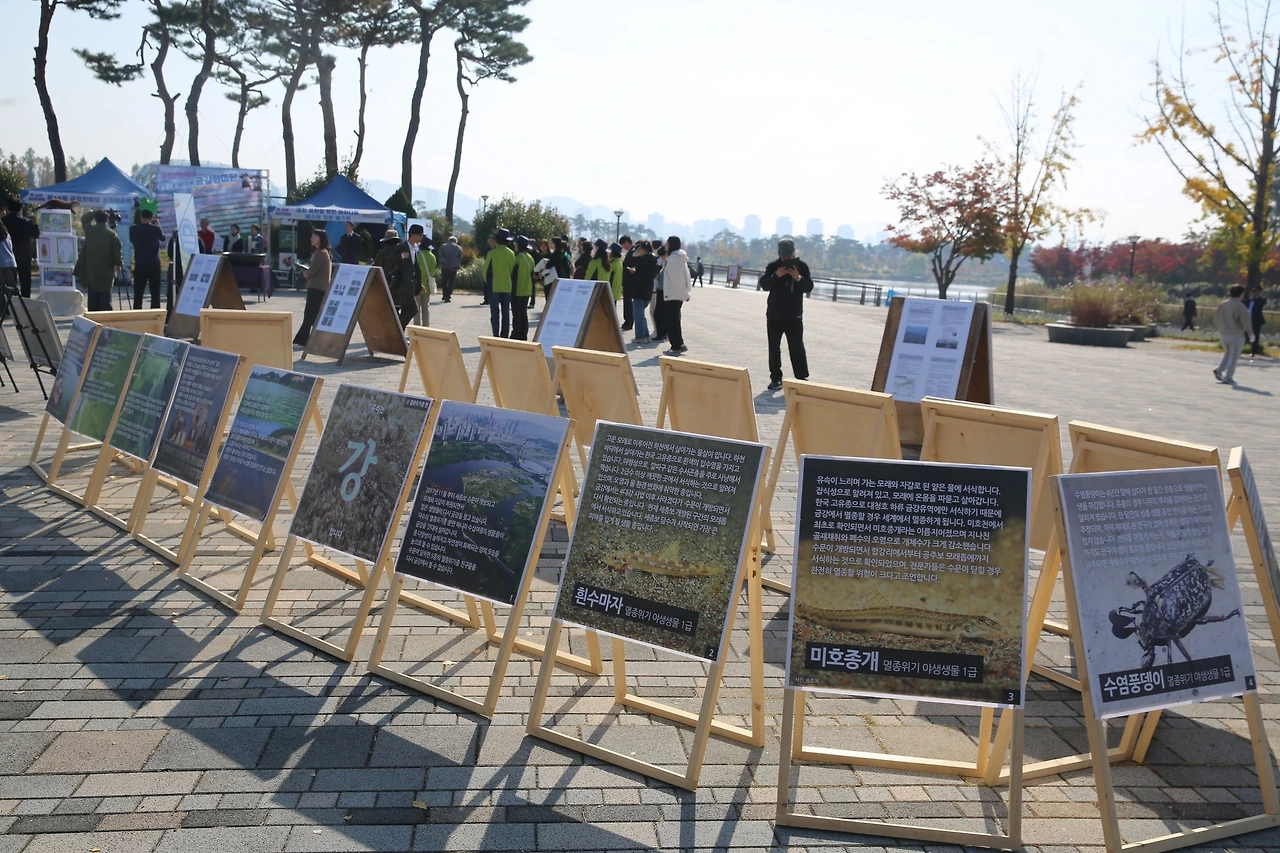 MG0A9477_новый размер.JPG