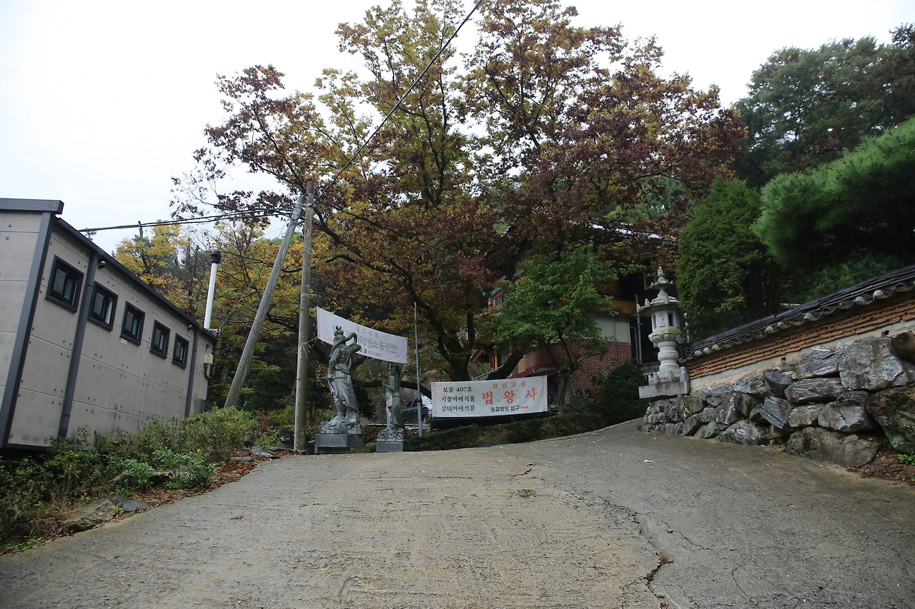 MG0A6688_новый размер.JPG