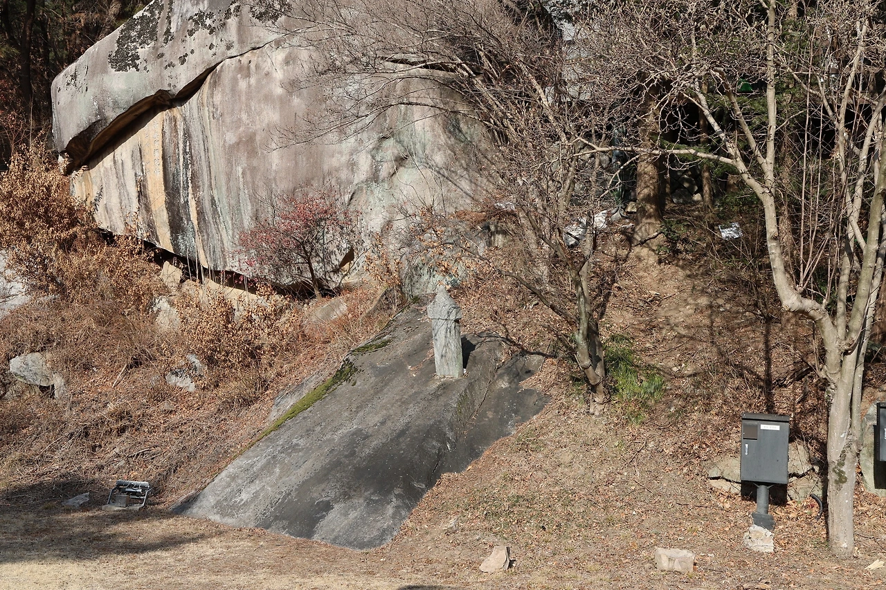 0R5A9232_новый размер.JPG