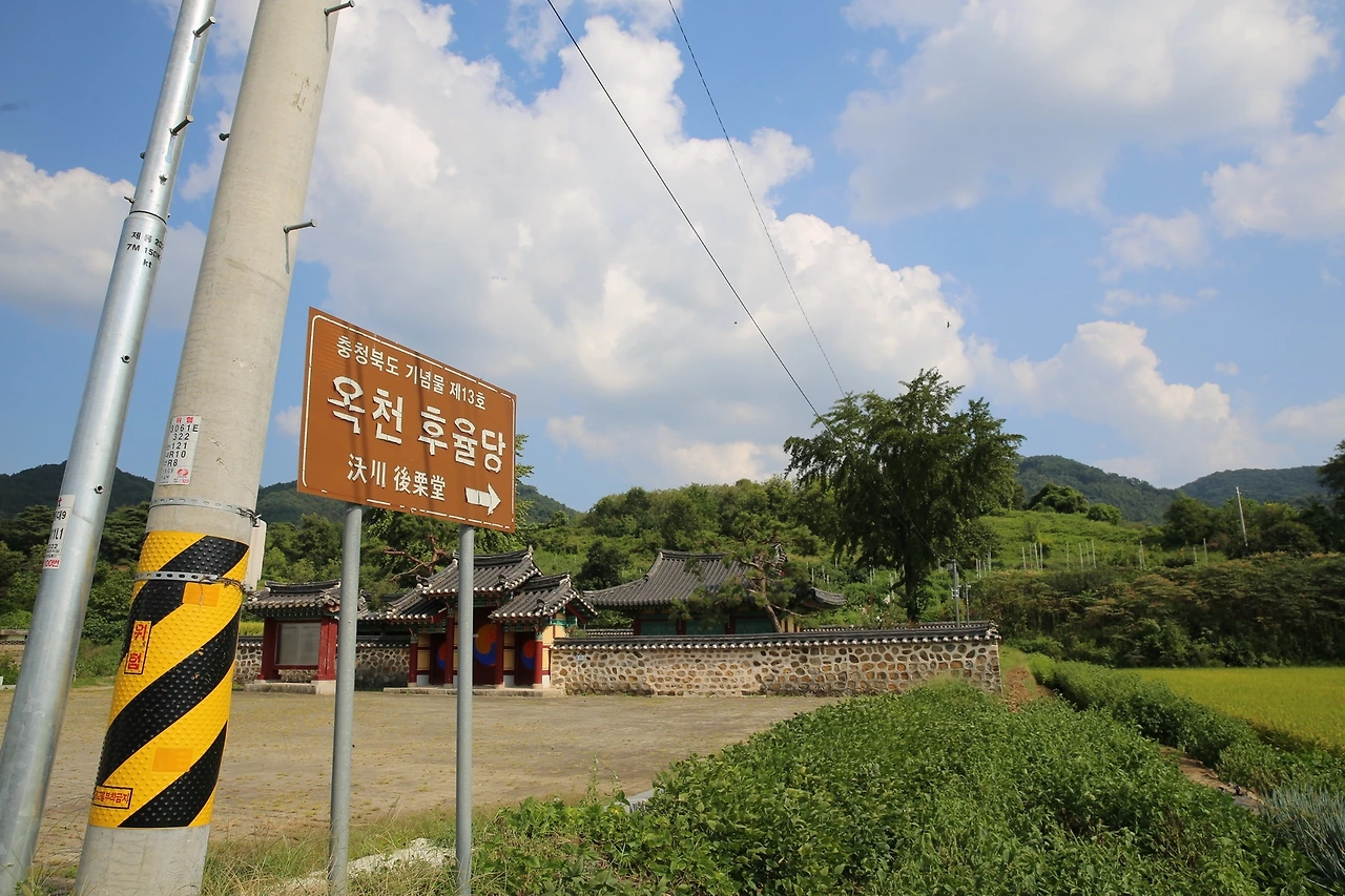 MG0A1544_новый размер.JPG