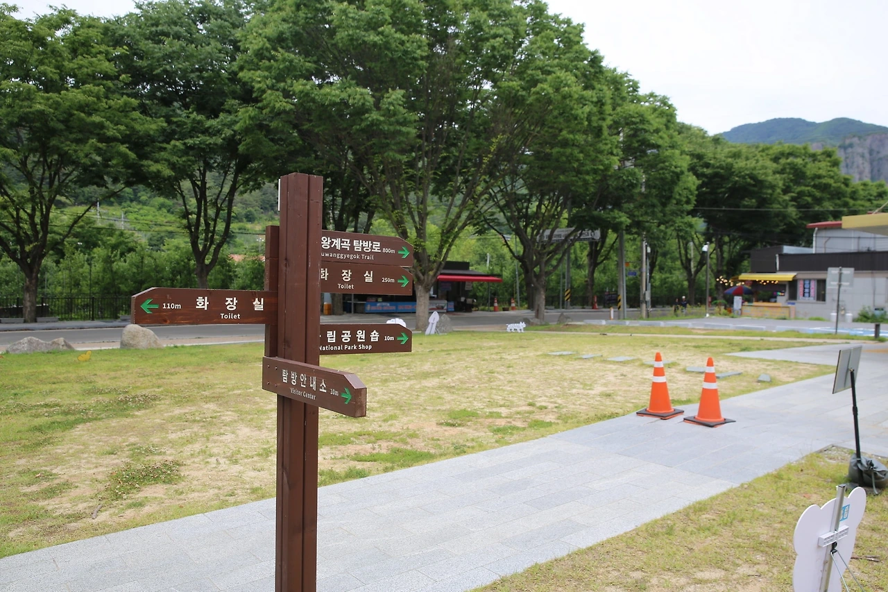 MG0A8570_новый размер.JPG