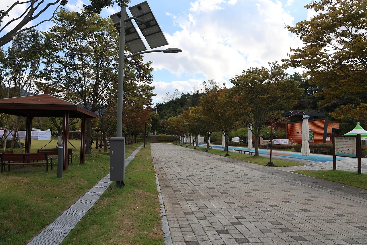 0R5A1181_новый размер.JPG