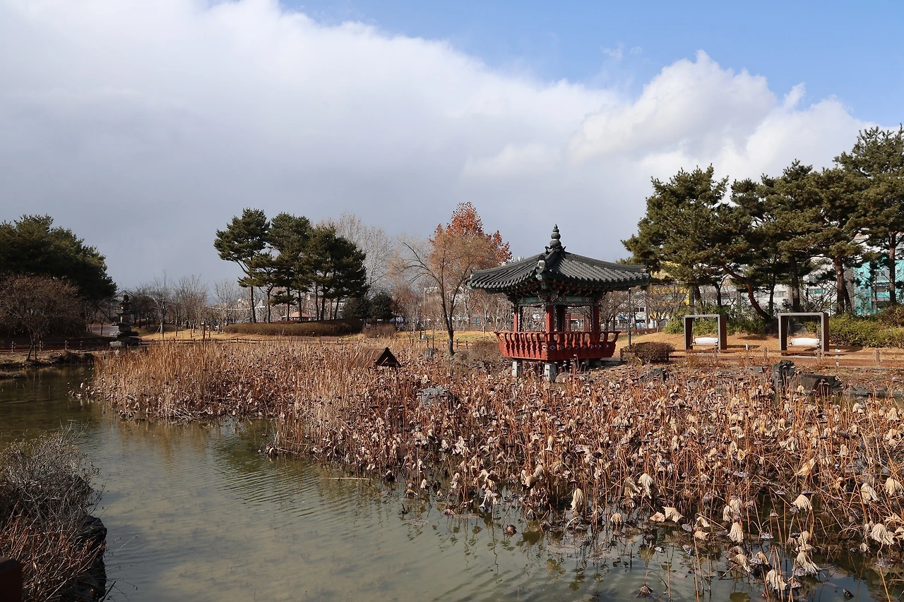 0R5A0095_новый размер.JPG