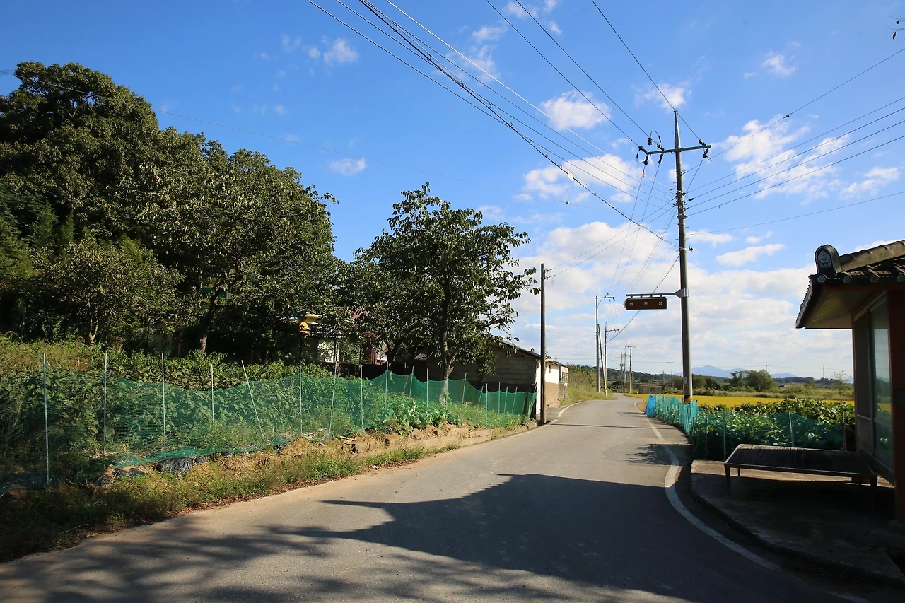 MG0A2891_новый размер.JPG