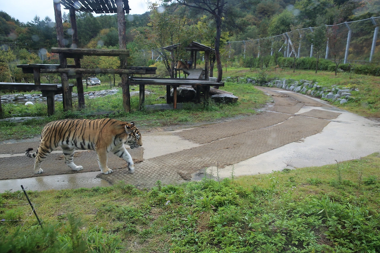 MG0A6197_новый размер.JPG