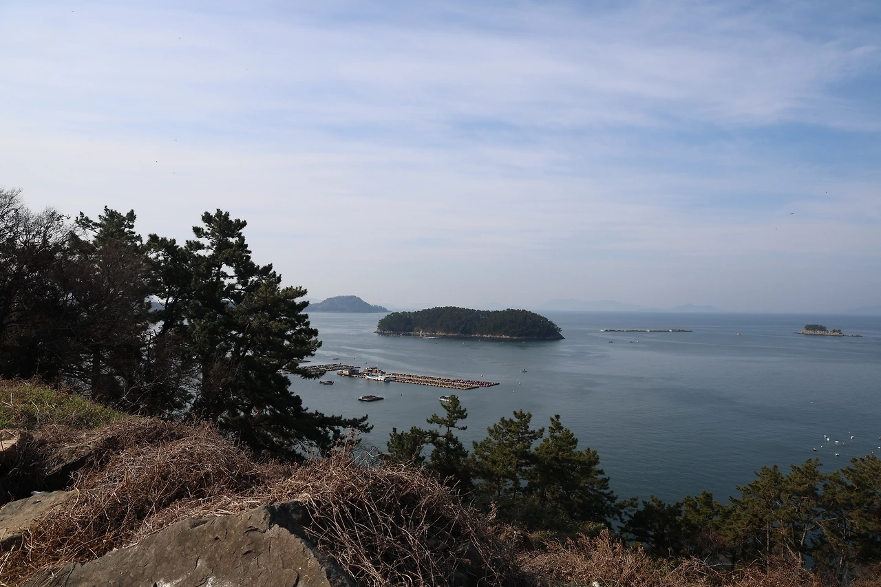 0R5A2213_новый размер.JPG