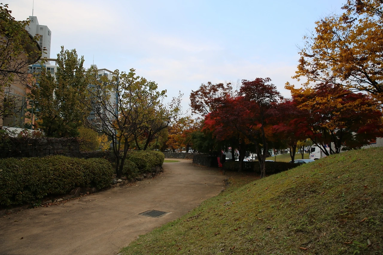 MG0A7700_новый размер.JPG