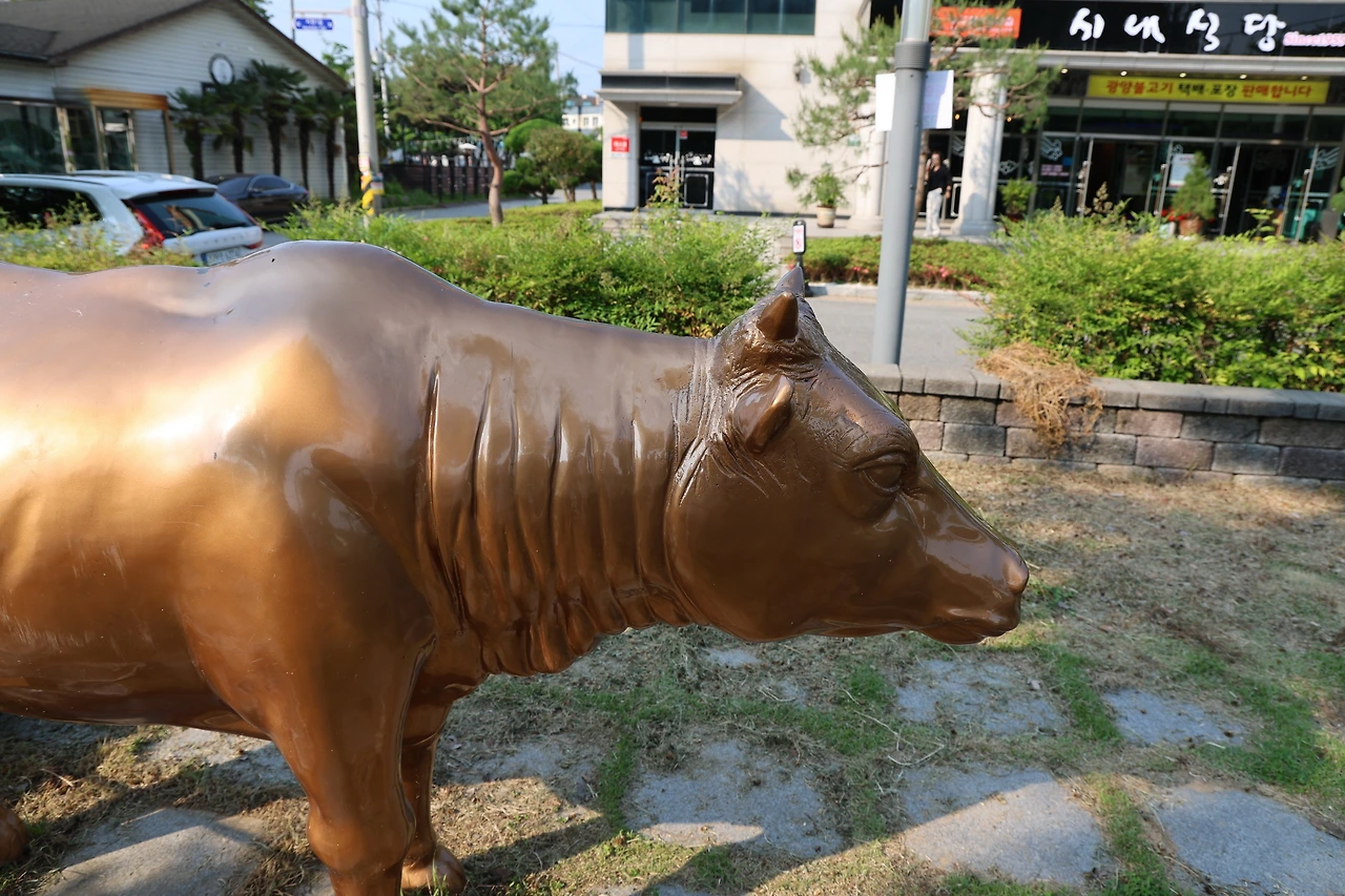 0R5A2932_новый размер.JPG