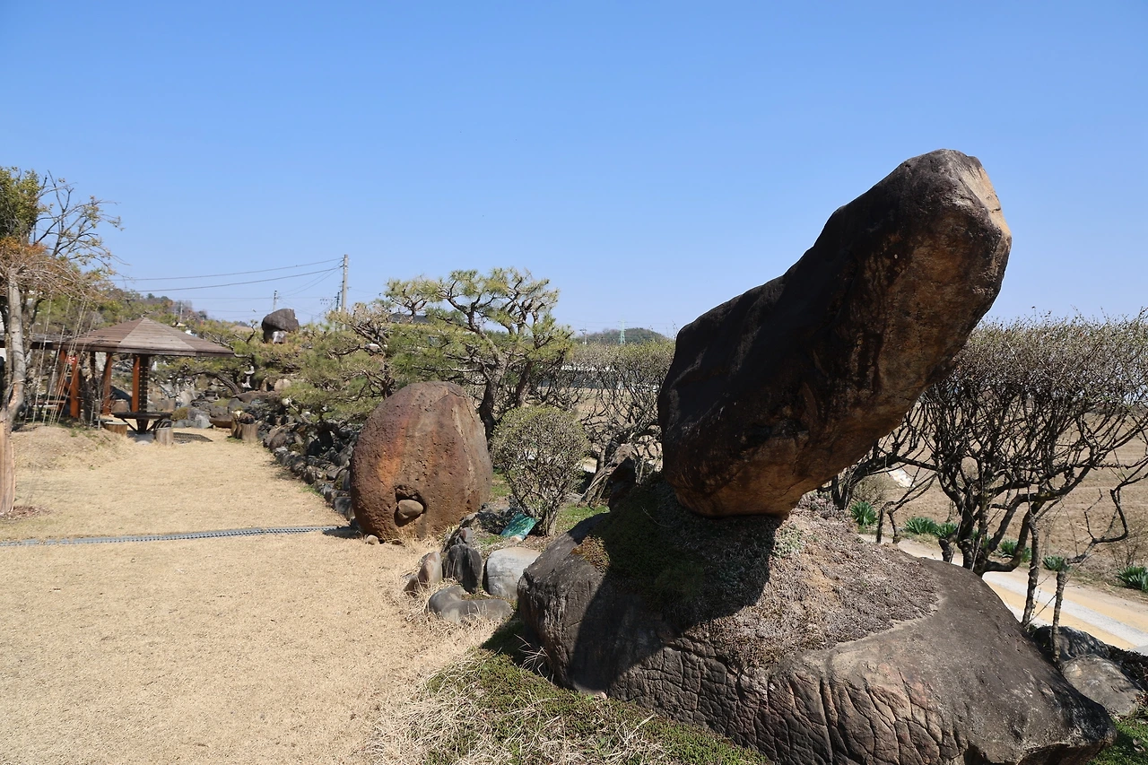 0R5A5457_новый размер.JPG