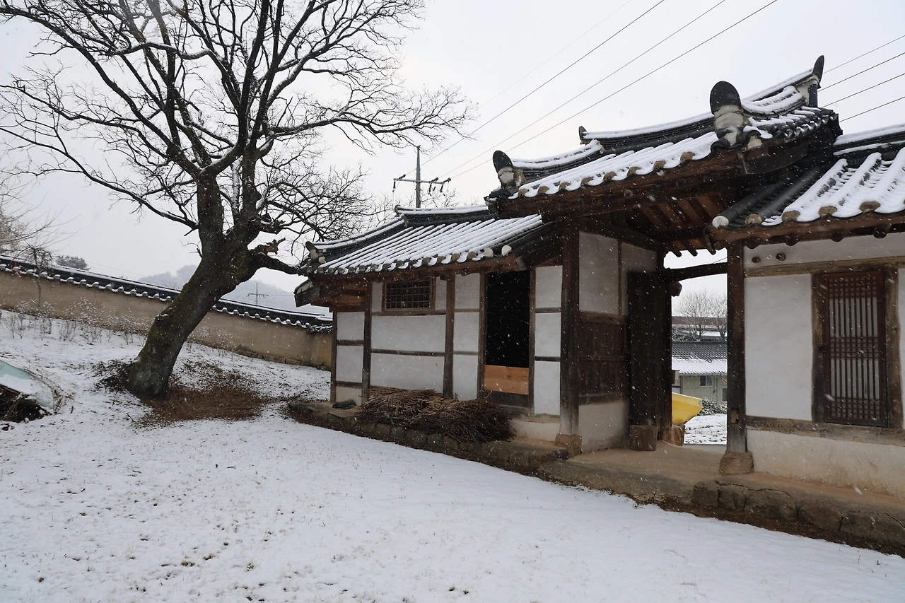 0R5A3128_новый размер.JPG