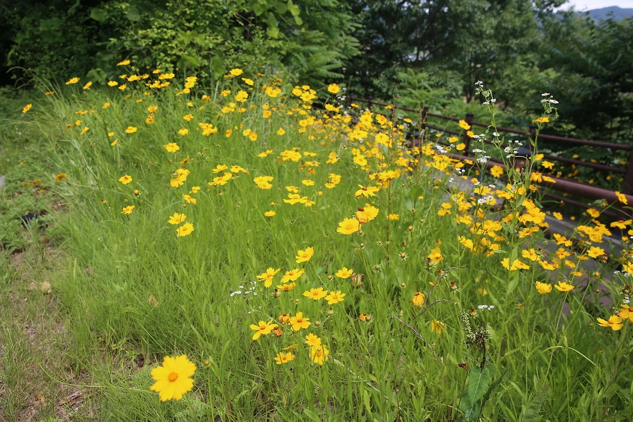 MG0A2170_новый размер.JPG