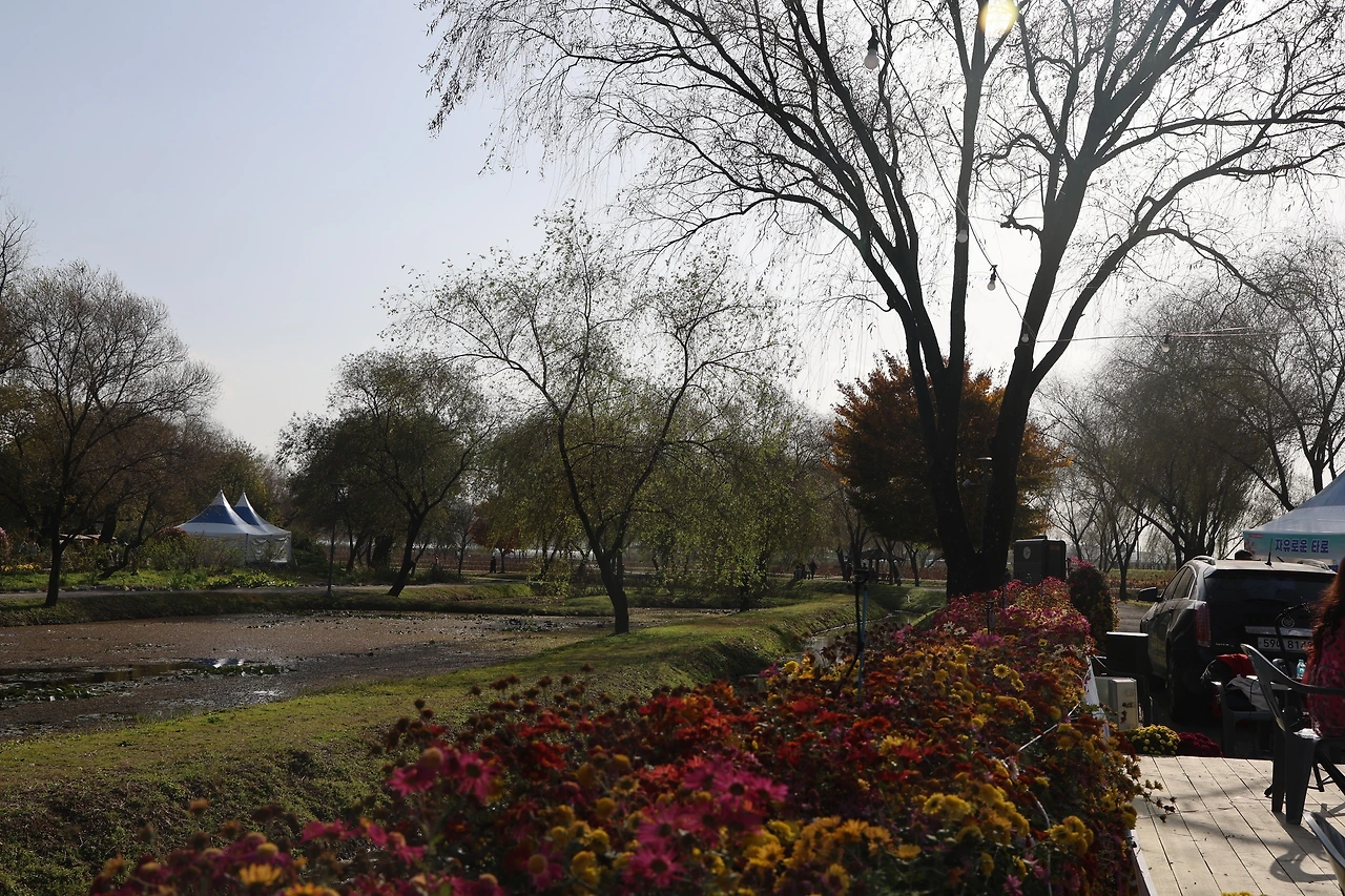 0R5A2442_новый размер.JPG