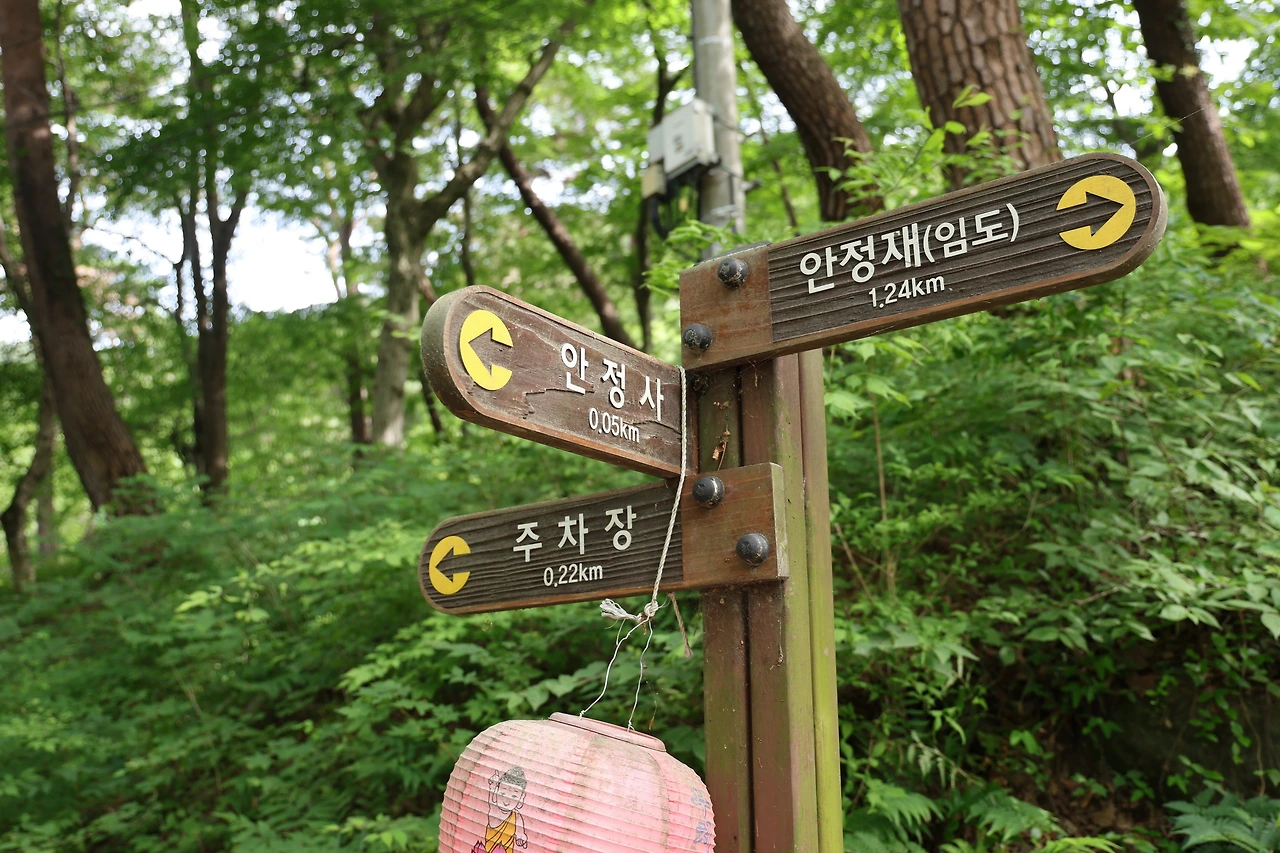 0R5A4091_новый размер.JPG