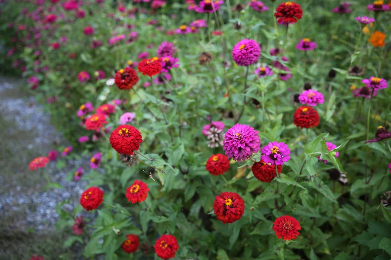 MG0A0617_новый размер.JPG