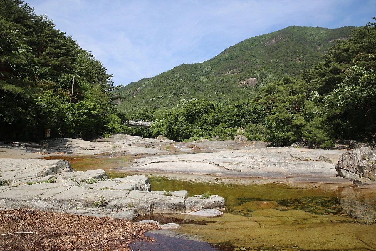 MG0A0673_новый размер.JPG