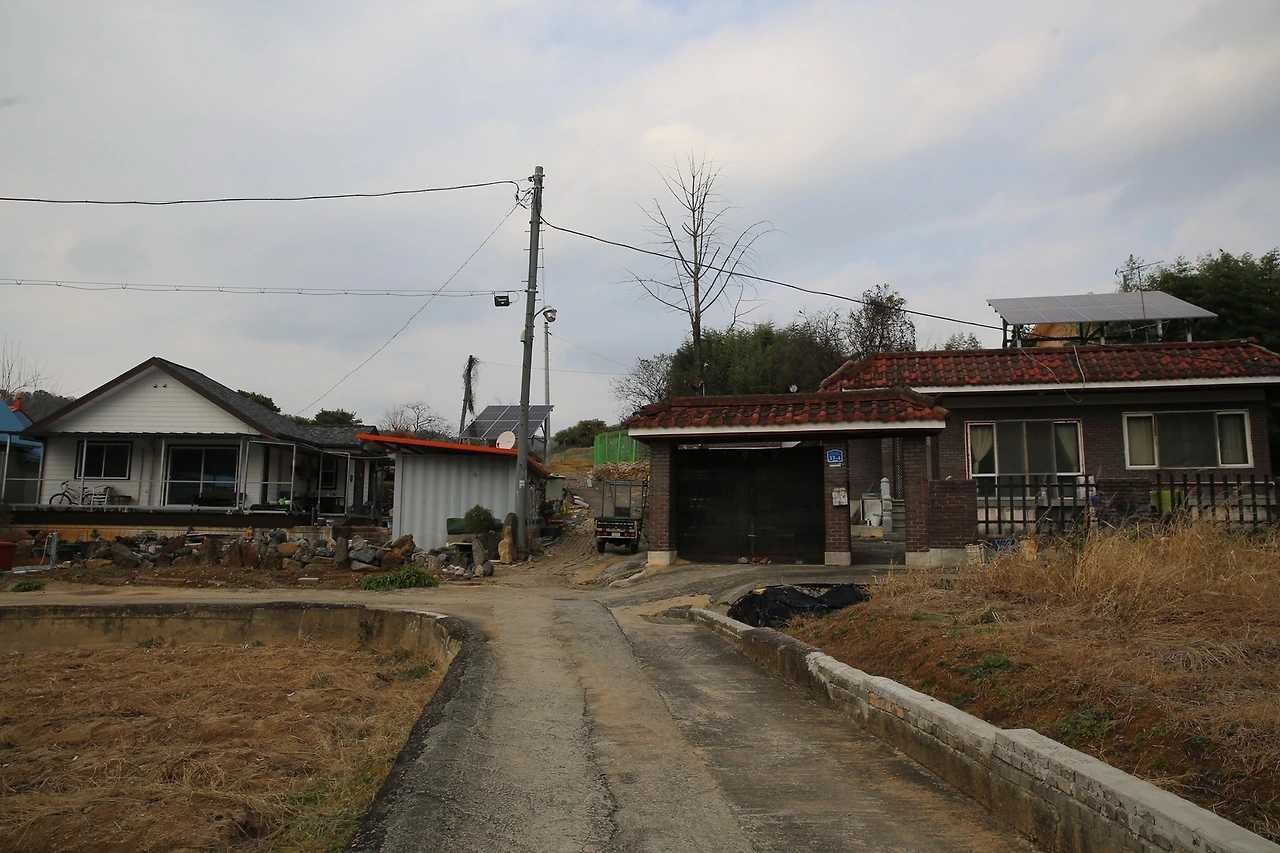 MG0A1242_новый размер.JPG