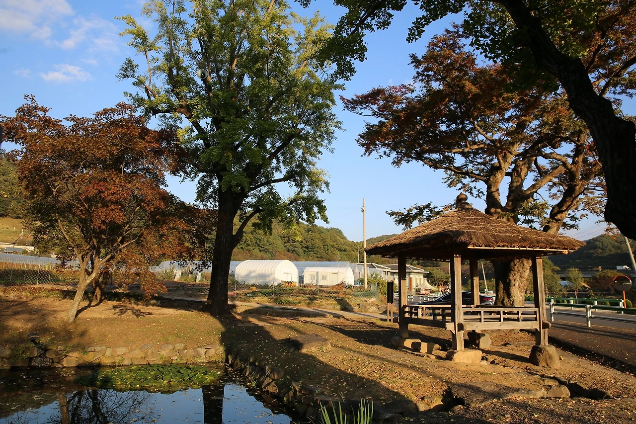 MG0A6669_новый размер.JPG