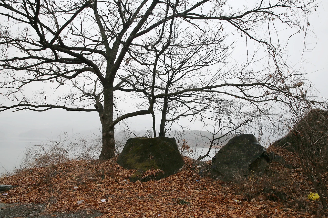 MG0A6142_новый размер_exposure.JPG