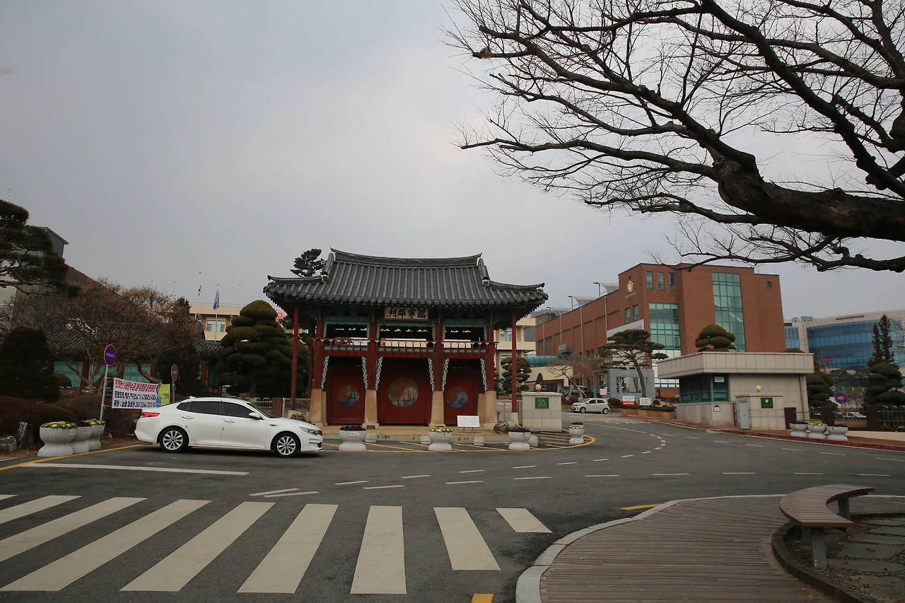 MG0A6743_новый размер.JPG